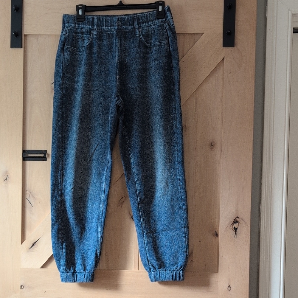 Rag And Bone Miramar Sweatpant Jean